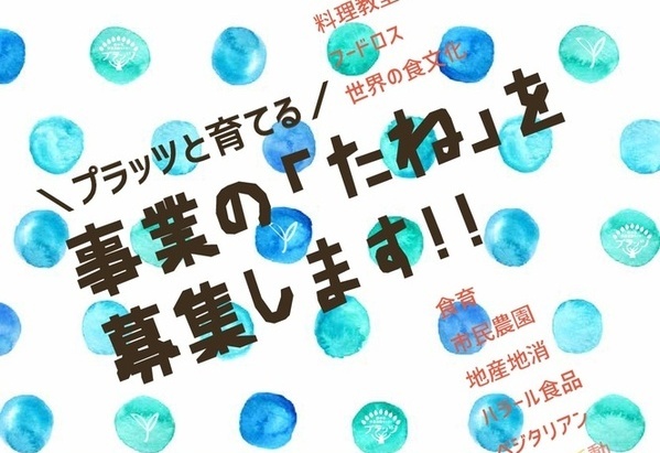 プラッツとプレゼンテーション