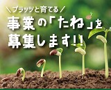 プラッツとサムネイル