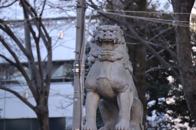 大國魂神社の狛犬（右）の写真