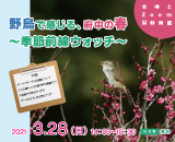 プラっとカフェ　野鳥イベント