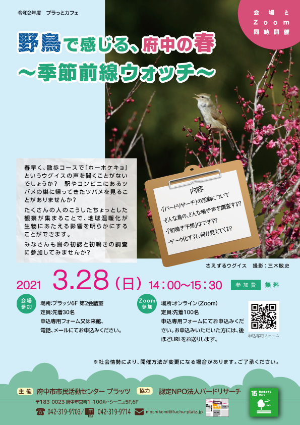 野鳥イベント　チラシ