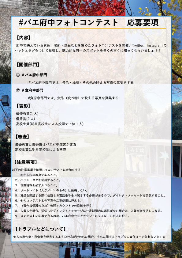 チラシ裏面