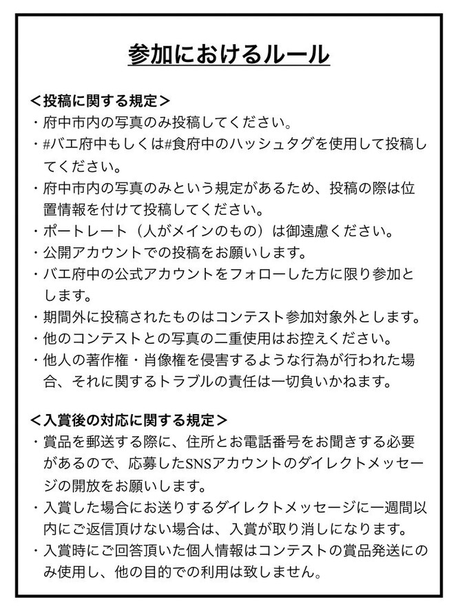 バエ府中ルール