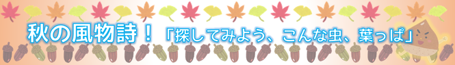 秋の風物詩！「探してみよう、こんな虫、葉っぱ」バナー