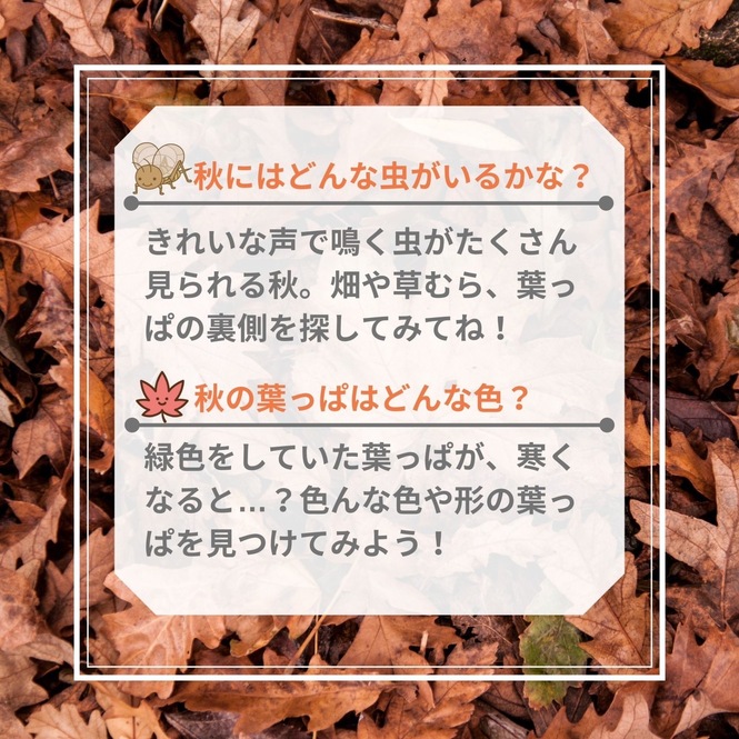 説明画像分画像01（テキストは下記）