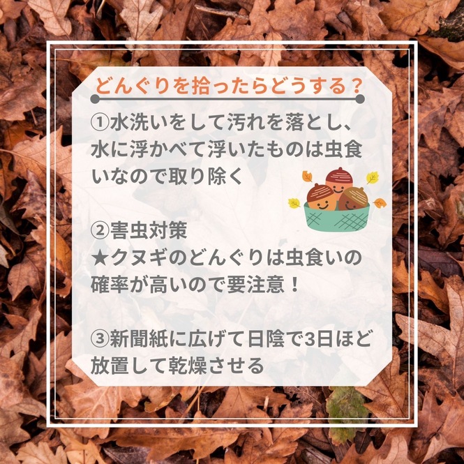 説明は以下に記載