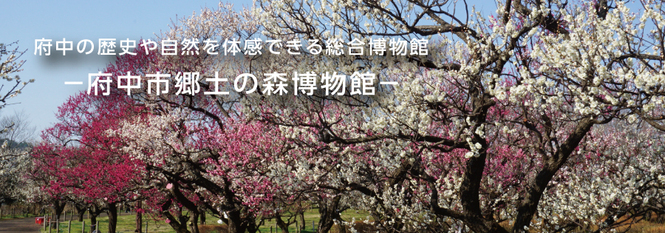 kyoudonomori