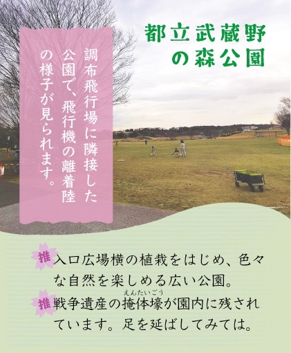 テキスト画像　説明は下記