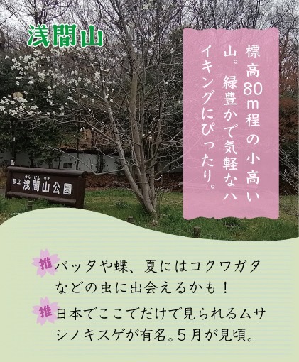 テキスト画像　説明は下記