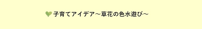 子育てアイデア 〜草花の色水遊び〜