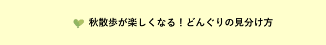 donguri