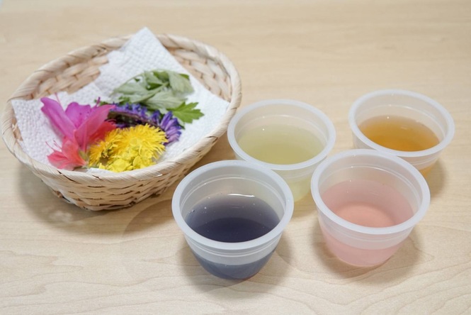 子育てアイデア 〜草花の色水遊び〜