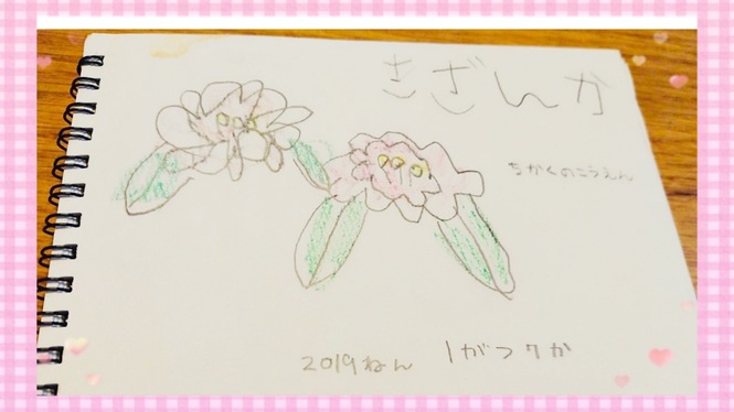 〜手作りお花図鑑〜