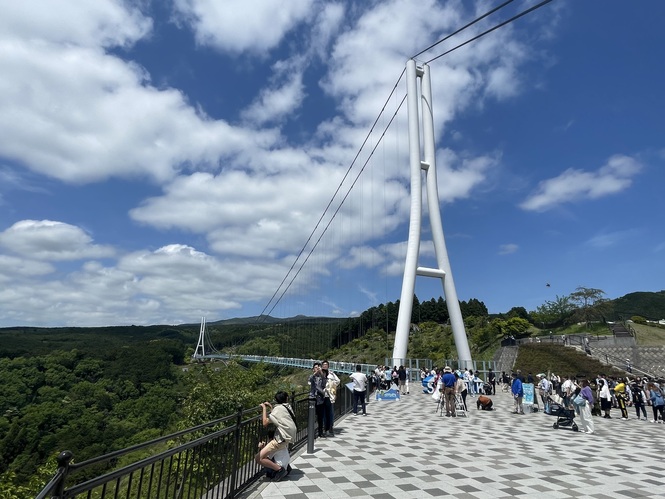 三島スカイウォークの全体画像