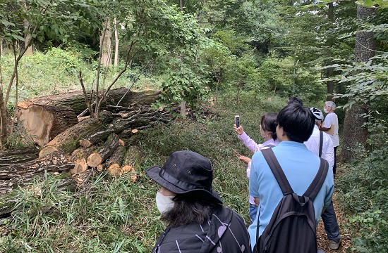 武蔵台緑地保全ボランティア