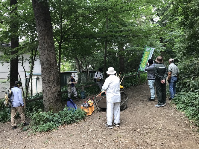 武蔵台緑地保全ボランティア活動の様子