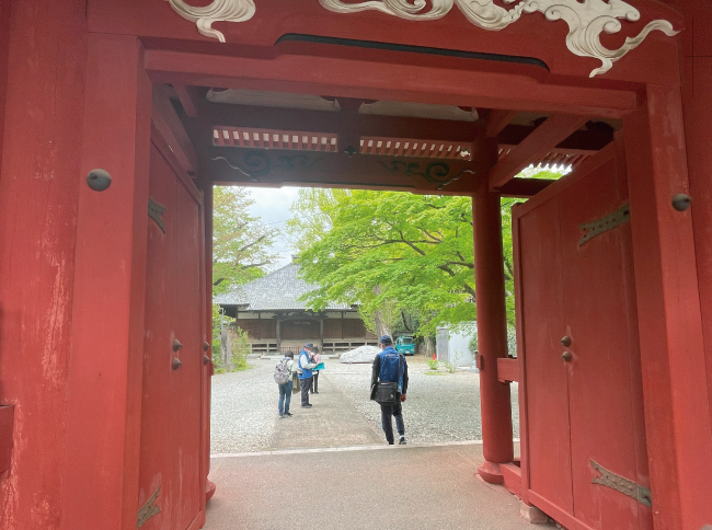 新緑とのコントラストが美しい妙光院仁王門