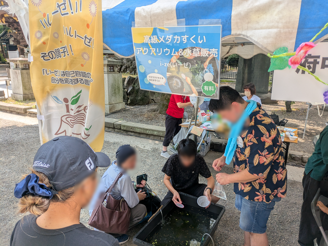 メダカすくい