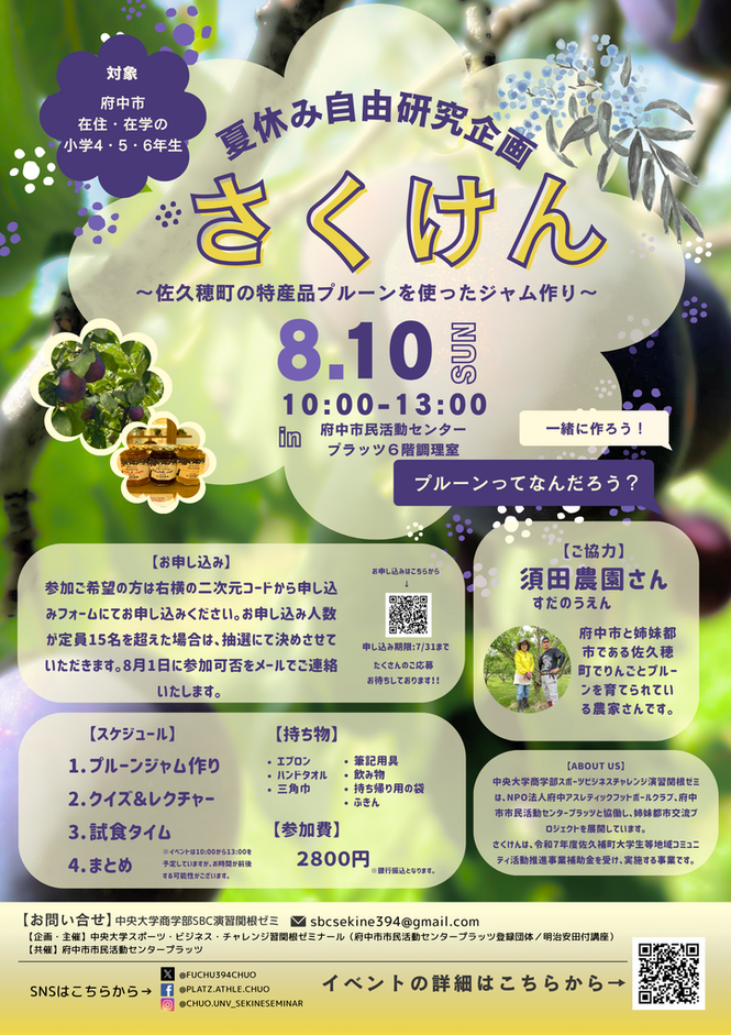 さくけんチラシ