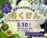 さくけん