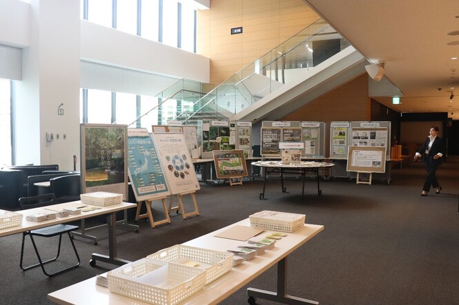 展示